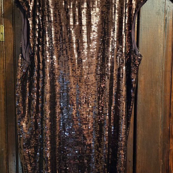 Anthropologie Shift Dress / Brown Sequin / 2X - Picture 1 of 4